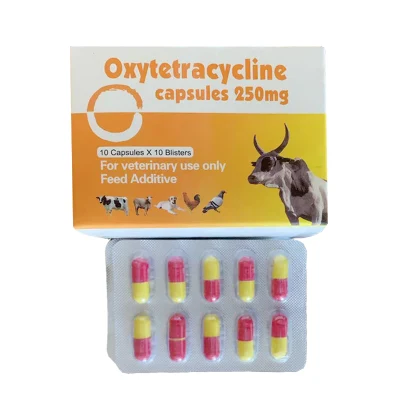 Veterinary Anti-Inflammatory Oxytetracycline Capsules Discount price