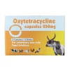 Veterinary Pig Anti-Inflammatory Oxytetracycline Capsules discount price