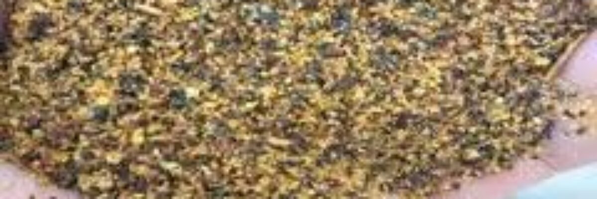 What is rapeseed meal? Can rapeseed meal be fed to pigs?